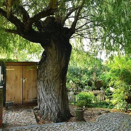 Apartmán Meenke